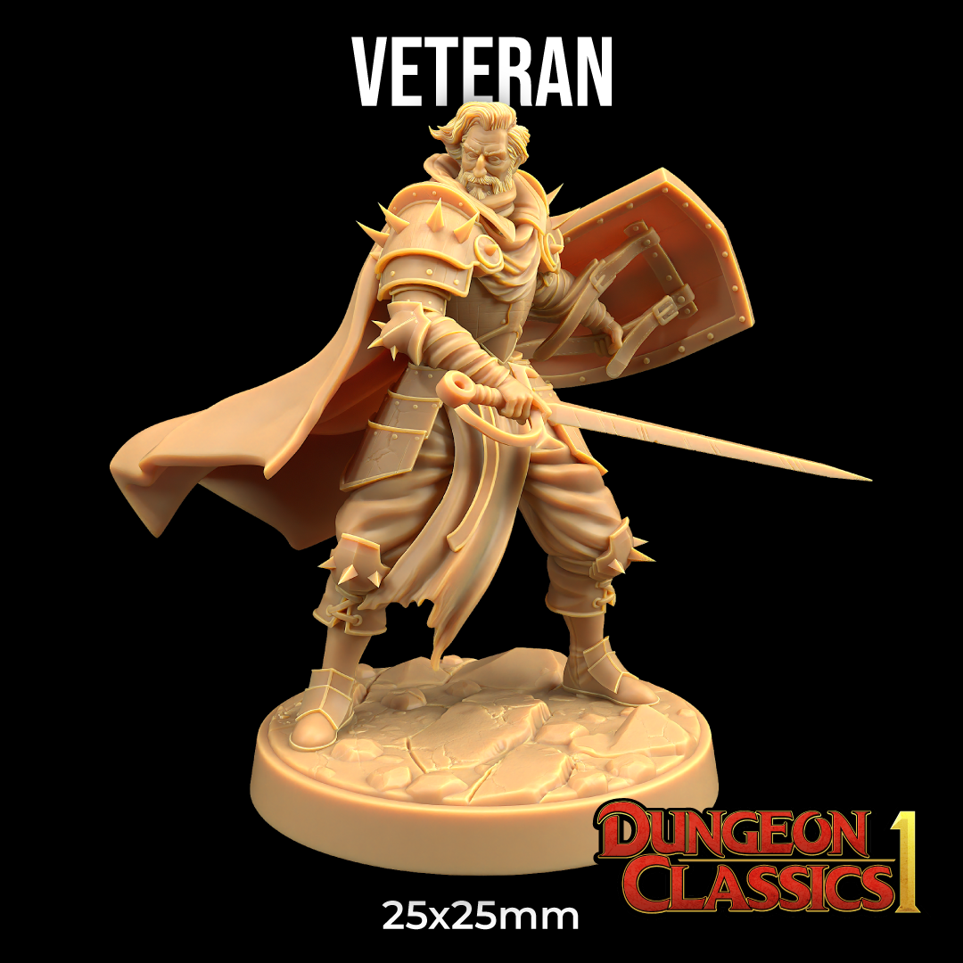 Human Veteran | PRESUPPORTED | Dungeon Classics